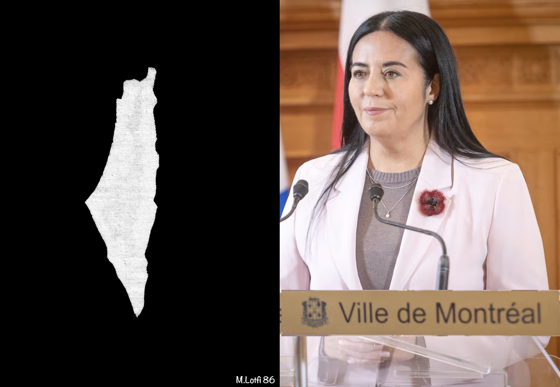 Ferrada-palestina 2