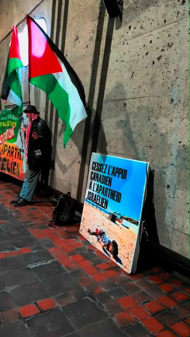#freepalestine🇵🇸